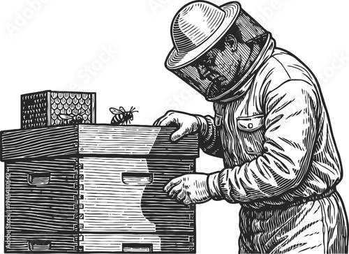 Beekeeper inspecting beehive box with bees in protective suit tending honeybee colony