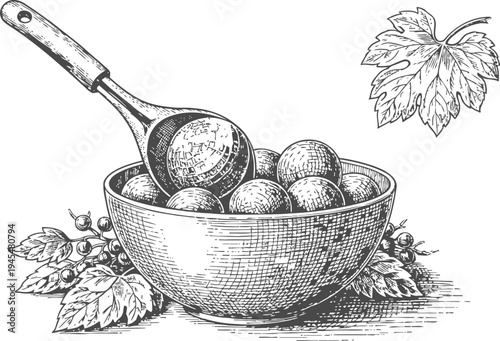 Bowl of round fruit with leaves and wooden spoon hand drawn berries in vintage