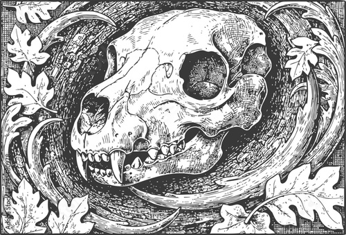 Detailed black and white illustration of an animal skull surrounded by swirling shapes and oak leaves