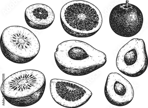 Hand drawn assorted citrus fruits and avocados detailed black and white vintage fruit illustration of kiwi, grapefruit, orange, and avocado halves