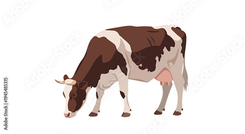 Pasture Grazing Cow in Field with Brown and White Coat. Vector Illustrations. EPS Editable