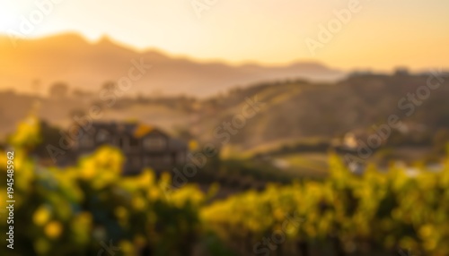 Blurred Vineyard Estate Rolling Hills Golden Sunset Warm Bokeh Background. Modern blurred background photo for banner, poster or magazine and website background.