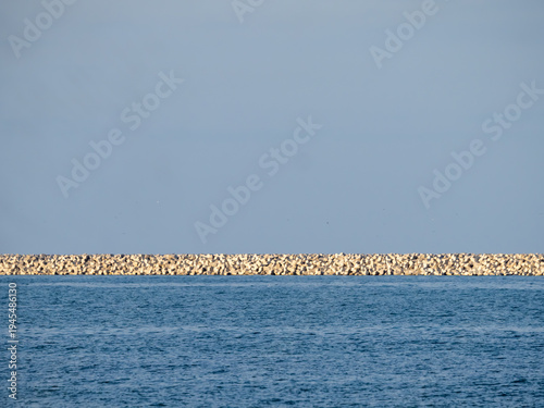 Tetrapod breakwater protecting beach at Black Sea coast