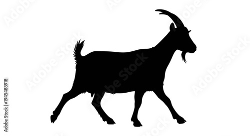 Silent Goat Silhouette Standing in White Studio. Vector Illustrations. EPS Editable