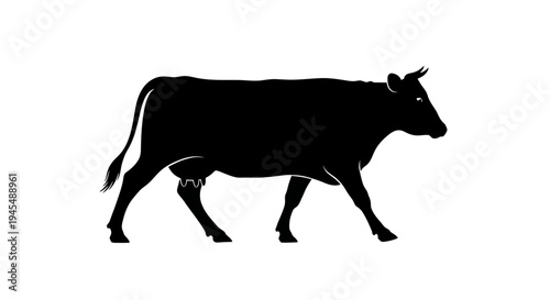 Silhouette of a Black Cow Walking Across a Clean White Background in Farm Style. Vector Illustrations. EPS Editable