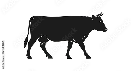 Silhouette of a Black Cow Walking in Profile. Vector Illustrations. EPS Editable