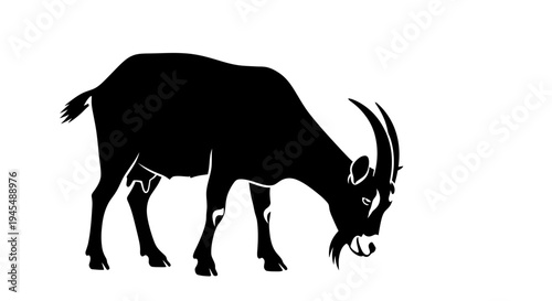 Silhouette of a Black Buffalo in Grazing Stance. Vector Illustrations. EPS Editable