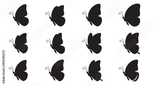 Butterflies black silhouette set with delicate curly antennae and wing details on a white background, 12 unique icons