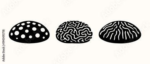 Brain Coral and Reef Coral Silhouette Set, Tropical Underwater Marine Coral Clipart