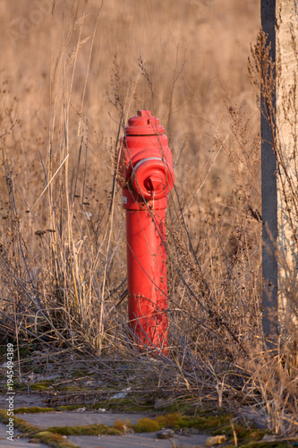 Fotografie Hydrant