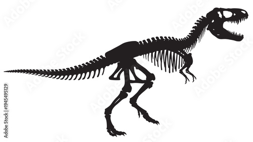 Tyrannosaurus Rex skeleton silhouette, a detailed illustration of prehistoric dinosaur bones in black on a white background, representing ancient