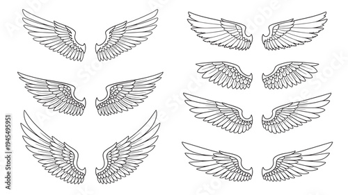 Wings line art set with elegant feathered designs for various creative applications and iconic symbols of freedom and flight.