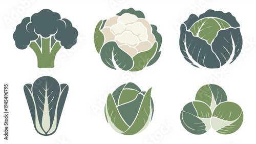 Colorful vegetable icon set illustration featuring broccoli, cauliflower, cabbage, lettuce, and other leafy vegetables representing healthy food, organic farming, fresh produce, and plant-based nutrit