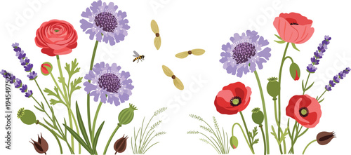 Watercolor illustration of colorful poppies and cornflowers on white background