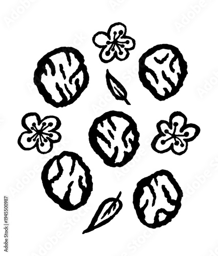 Pickled plums or umeboshi set with plum flowers and leaves around. Ink black hand drawn line illustration on white background.