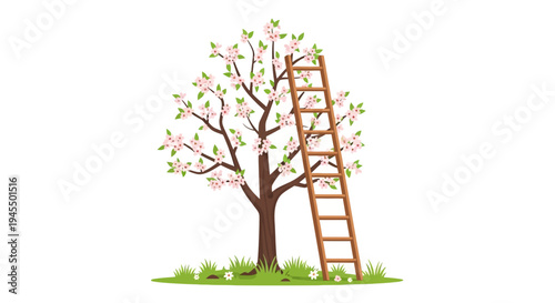 Pastoral scene with a blooming spring tree, possibly an apple or cherry tree, and a sturdy wooden ladder leaning against its branches, on an isolated white background.