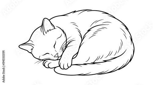 Sleeping Cat Curled Up Tightly.