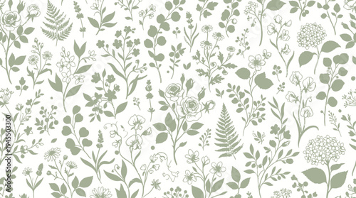 Collection of various botanical illustrations.