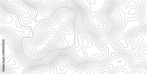 Topographic map background geographic line map with elevation assignments.The concept of a conditional geography scheme and the terrain path. Design materials. Abstract bacground. Vector illustration.