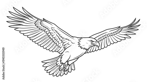 Bird Flying with Spread Wings Outstretched.