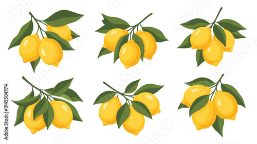 Fresh lemon branch illustrations featuring yellow citrus fruits and green leaves for beverage and cleaning product labels.