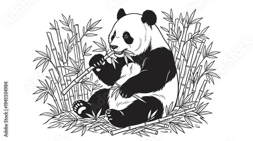 Panda eating bamboo shoots peacefully alone.