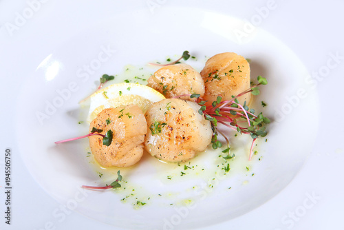 Schilderij op canvas Scallops on a white plate with microgreens