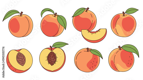 Peach fruit collection showing whole peaches halves with pits and slices for healthy snack and summer fruit marketing.