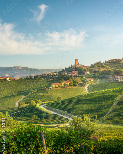 Barbaresco Village and Langhe Vineyards in the Morning, Italy