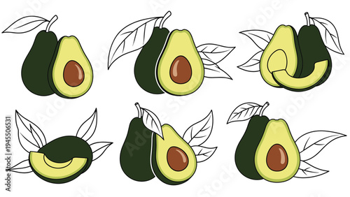 Avocado fruit illustrations showing whole fruit halves with pits and slices decorated with fresh green leaves on white.