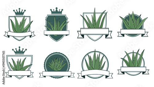 Professional aloe vera emblems and badges featuring succulent plant icons shields ribbons and royal crowns.
