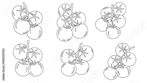 Fresh organic vine tomato clusters in detailed black and white line art sketches for grocery labels and healthy food illustrations.
