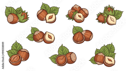Hazelnut harvest illustrations with clusters of whole nuts and halves surrounded by green leaves for healthy snack and food packaging.