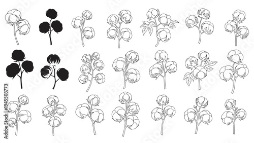 Raw cotton plant illustrations featuring bolls on branches in sketches and silhouettes for textile industry and natural fiber themes.
