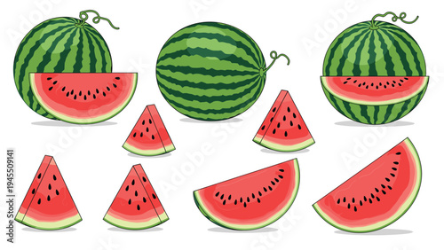 Watermelon illustrations featuring large whole striped fruit and several red slices with black seeds on a plain white background.