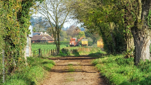Foto Harvest time