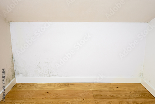 Mold growing on damp attic wall causing damage