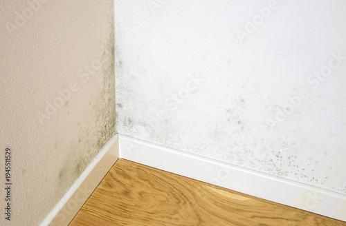 Black mold growing on house wall corner