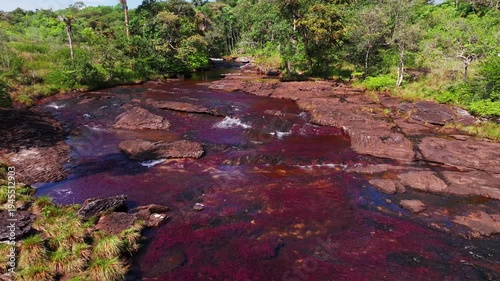 Wallpaper Mural Drone view of Caño Sabana in Guaviare, Colombia, capturing a colorful river winding through tropical forest with vivid natural patterns and remote jungle scenery. Torontodigital.ca