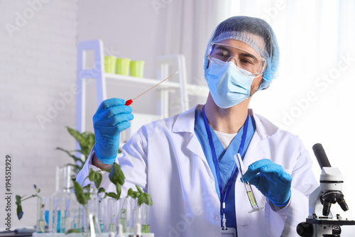 Male agricultural engineer working with test tube in laboratory