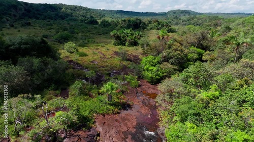 Wallpaper Mural Aerial drone footage of Caño Sabana highlights a vibrant riverbed in Colombia, surrounded by dense jungle and rich natural textures in the Guaviare landscape. Torontodigital.ca