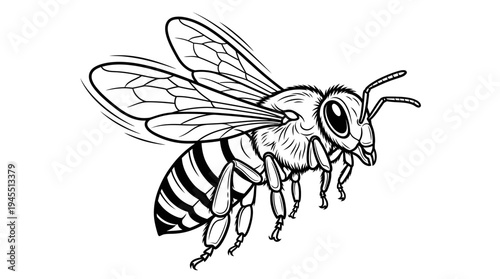 Detailed illustration of a flying bee.