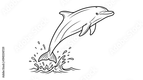 Dolphin jumping out of water.