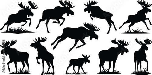 Collection of moose silhouettes in various poses, wildlife animal illustrations, running and standing elk figures for nature design, decoration, and branding