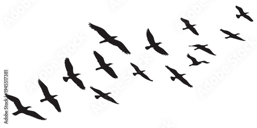 A flock of birds flying in formation in the sky