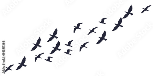 A flock of birds flying in formation in the sky
