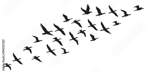 A large flock of black birds flying in formation in the sky
