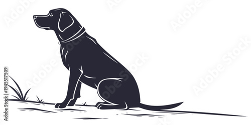 A black dog sitting on the ground looking up with a collar around its neck