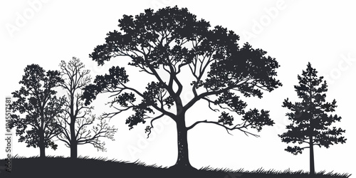 Silhouette of three trees on a hill with grass