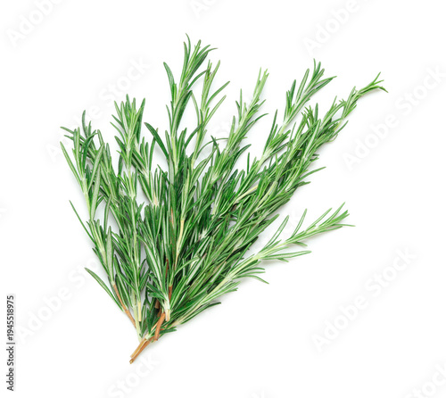 Fresh rosemary twigs isolat...